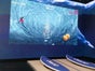 Surf Simulator!!! ( Surfsimulator ) Surfsimulator mieten - Galerie - Bild 2