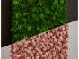 Green Wall, Fotohintergrund, Selfie Point, Fotowand, Fotopoint, Event- Dekoration - Galerie - Bild 2