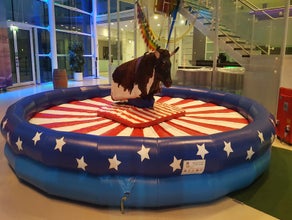 Bull Riding / Bullriding / Rodeo