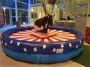Bull Riding / Bullriding / Rodeo - Galerie - Bild 1