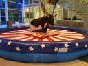 Bull Riding / Bullriding / Rodeo - Galerie - Bild 1