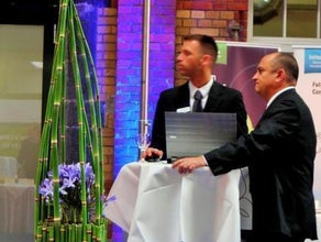 Equisetum Counter-Gesteck
