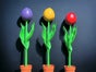 Tulpen XXL Riesenblumen, Blumen - Galerie - Bild 2