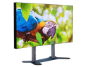 100 Zoll TV 4K UHD mit E- Standfuss mieten – Monitor - Galerie - Bild 1