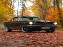 Ford Mustang Shelby 1966 Fastback Oldtimer Hochzeitsauto mieten