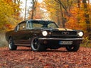 Ford Mustang Fastback Oldtimer Hochzeitsauto mieten - Galerie - Bild 1