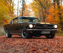 Ford Mustang Shelby 1966 Fastback Oldtimer Hochzeitsauto mieten