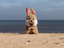 Osterhase hellbraun - Maskottchen Hase, Osterhasenkostüm, Hasenkostüm - Galerie - Bild 1