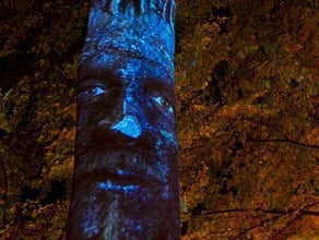 Sprechender Baum - Projektion
