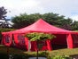 Großpagode / Pagodenzelt 5 x 5 m - Galerie - Bild 4