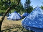 4 - 8 Personen Zelt Campingzelt Camping Versand per Paket - Galerie - Bild 4