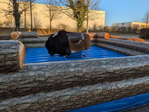 ⭐Bullriding / Redneck Game - Selbstabholung oder inkl. Bedienung⭐