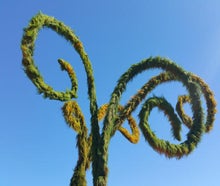 Wonderland - Gras gerollt  - für  Riesenblumen