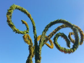 Wonderland - Gras gerollt - für Riesenblumen