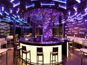 THE PEARL