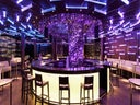 THE PEARL