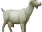 Ziege Figur, Bock, Ziegenbock, Bauernhof, Bauer, Tier - Galerie - Bild 2
