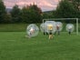 Bumper Balls inkl. 19% MwSt. - Galerie - Bild 3
