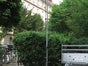 Halogenstrahler 1000Watt - Galerie - Bild 2