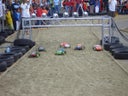 RC-Car Racing - 10 ferngesteuerte Elektrorennautos im Maßstab 1:10 - inkl. Personal