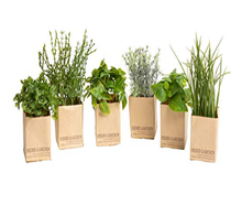 Kräutergarten Frühling / 12 er Set mieten – Miettisch, Eventtisch, Veranstaltungstisch, Partytisch