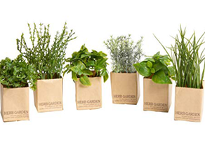Kräutergarten Frühling / 12 er Set mieten – Miettisch, Eventtisch, Veranstaltungstisch, Partytisch