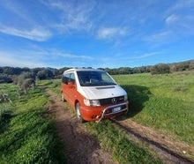 VAN GOGH - MERCEDES MARCO POLO WESTFALIA