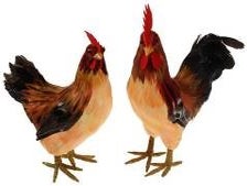 Hühner - Figuren, Huhn, Bauernhof, Tier
