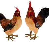 Hühner - Figuren, Huhn, Bauernhof, Tier