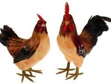 Hühner - Figuren, Huhn, Bauernhof, Tier