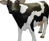 Kuh Figur, Bauernhof, Milchkuh, Milch