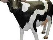 Kuh Figur, Bauernhof, Milchkuh, Milch