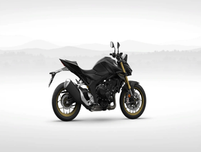 Motorrad Honda CB1000 Hornet