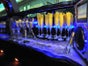 Lincoln Towncar Stretchlimousine als Hochzeitsfahrzeug - Galerie - Bild 2