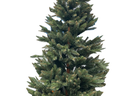 Weihnachtsbaum Nordmanntanne 220cm - Galerie - Bild 1
