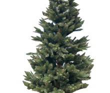 Weihnachtsbaum Nordmanntanne 220cm