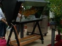 Spankferkel- / Lammgrill mit gas - Galerie - Bild 1