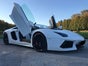 LAMBORGHINI AVENTADOR LP700-Roadster - Galerie - Bild 2