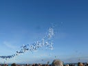 Ballonmassenstart