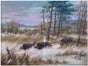 Wildschwein Kulisse, Wildsau, Wildtier, Wald, Keiler - Galerie - Bild 2