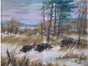 Wildschwein Kulisse, Wildsau, Wildtier, Wald, Keiler - Galerie - Bild 2