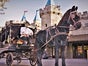 Bestattungskutsche, Leichenwagen, Beerdigungskutsche, Halloween Dekoration, Historische Kutsche - Galerie - Bild 4
