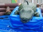 Alligator Rodeo wie Bullriding inkl. 19% MwSt. - Galerie - Bild 2