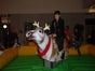 Rentierrodeo - das Bullriding zu Weihnachten inkl. 19% MwSt.! - Galerie - Bild 2