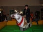 Rentierrodeo - das Bullriding zu Weihnachten inkl. 19% MwSt.! - Galerie - Bild 2