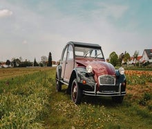Citroen 2CV6 Charleston mieten / Ente / Oldtimer & Hochzeitsauto