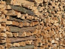 Holz