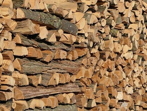 Holz
