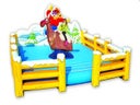 Rentierreiten "Rudolf"   *Das Highlight!!!*