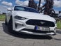 Ford Mustang GT 5.0 V8 Cabrio - Galerie - Bild 2